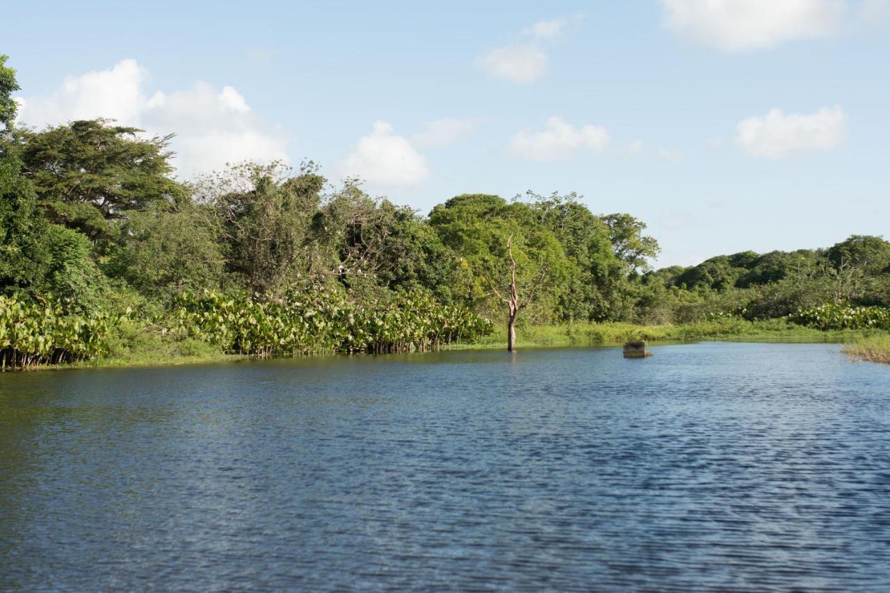 Rio Das Garcas Eco Resort São José de Mipibu Exterior foto